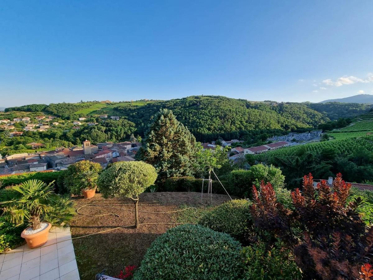 Wine Passion Panoramic Hotel Chavanay Exterior foto